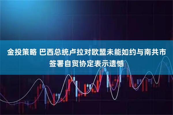金投策略 巴西总统卢拉对欧盟未能如约与南共市签署自贸协定表示遗憾