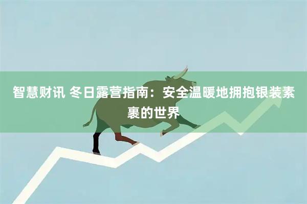智慧财讯 冬日露营指南：安全温暖地拥抱银装素裹的世界